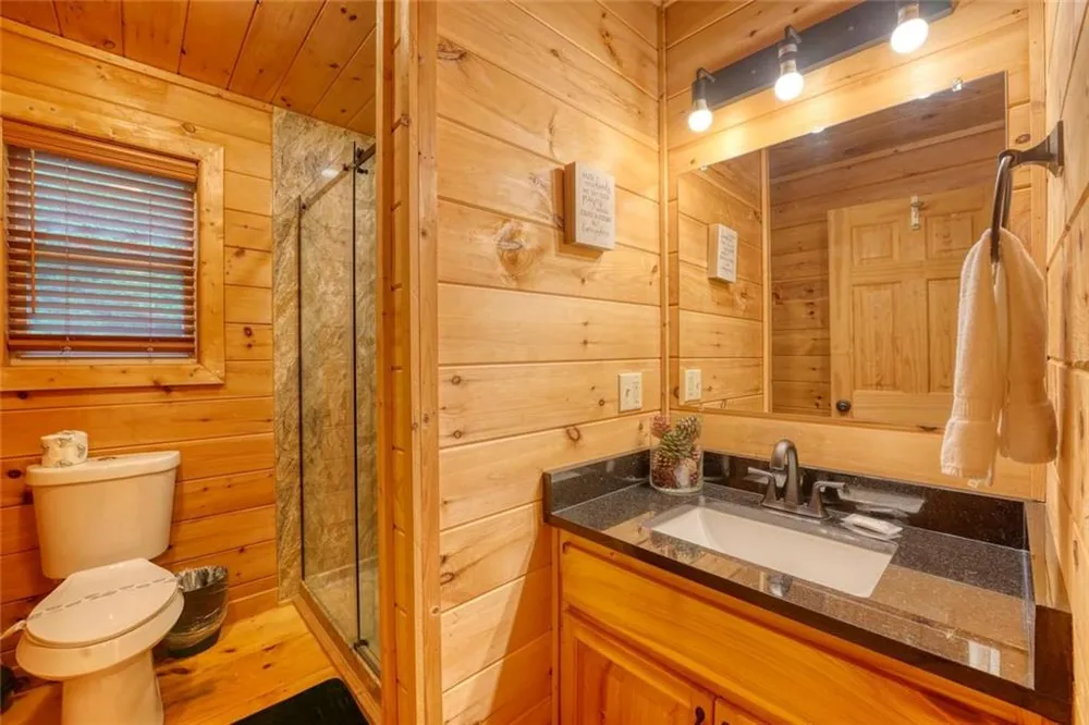 1564 Black Ankle Creek Road Cherry Log, GA 30522