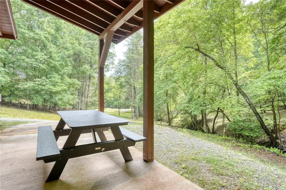 1564 Black Ankle Creek Road Cherry Log, GA 30522
