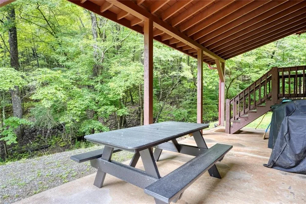 1564 Black Ankle Creek Road Cherry Log, GA 30522