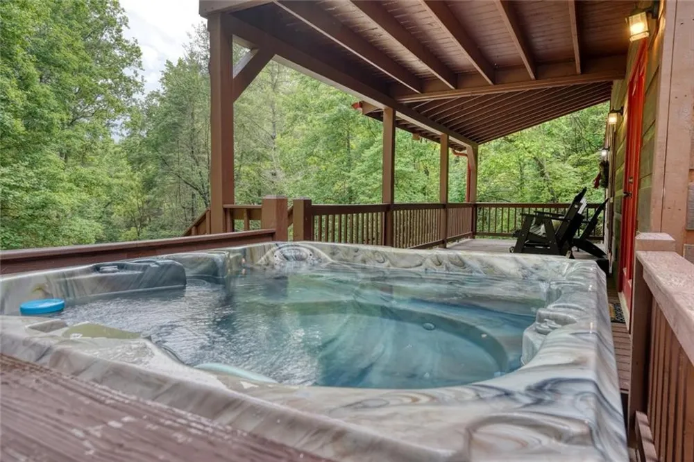 1564 Black Ankle Creek Road Cherry Log, GA 30522