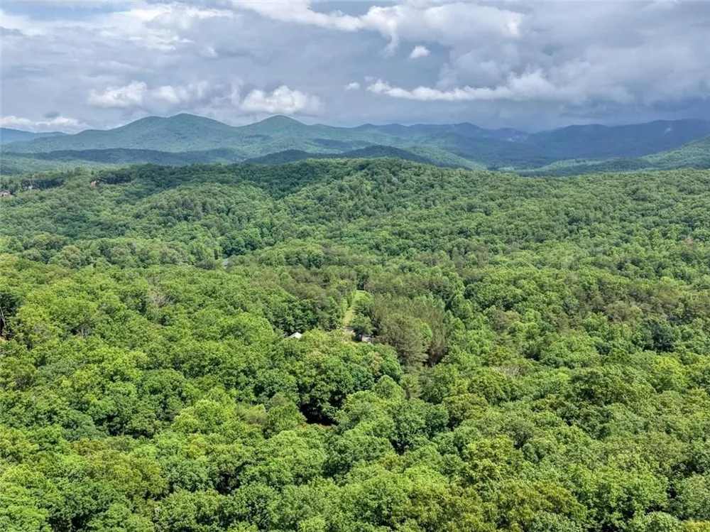 1564 Black Ankle Creek Road Cherry Log, GA 30522