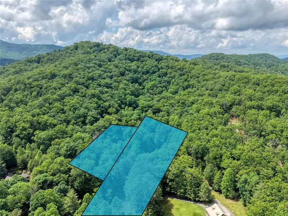 1564 Black Ankle Creek Road Cherry Log, GA 30522