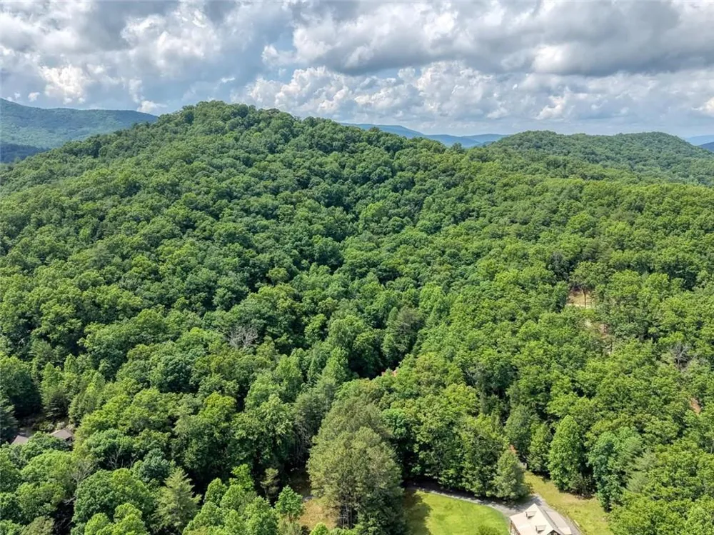 1564 Black Ankle Creek Road Cherry Log, GA 30522