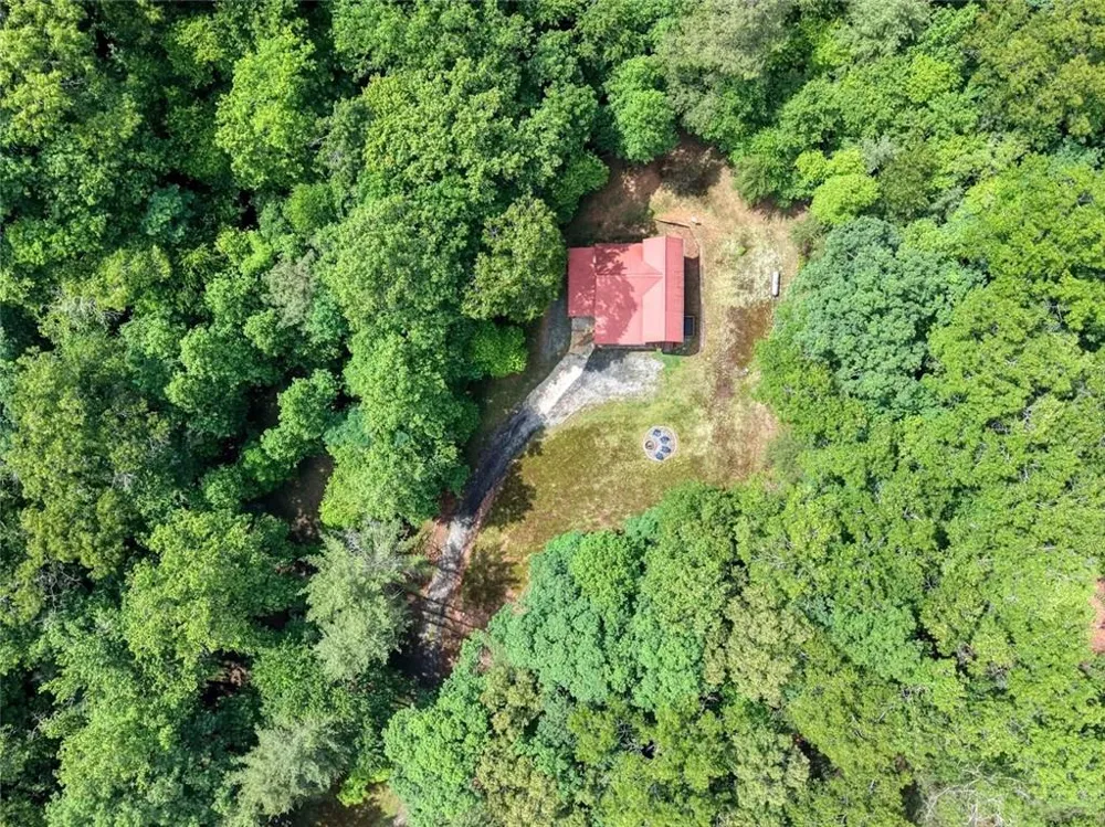 1564 Black Ankle Creek Road Cherry Log, GA 30522