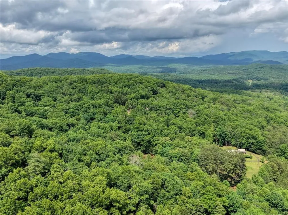 1564 Black Ankle Creek Road Cherry Log, GA 30522