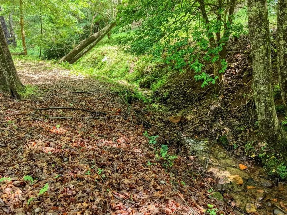 1564 Black Ankle Creek Road Cherry Log, GA 30522