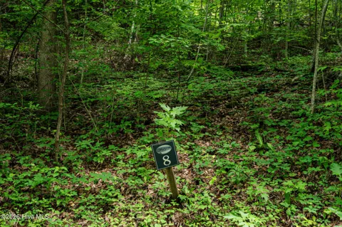 Lot 8 Skyview Drive
