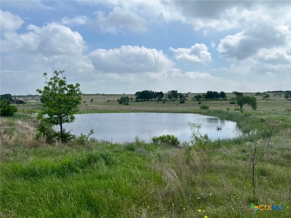 4748 CR 3300 Kempner, TX 76539