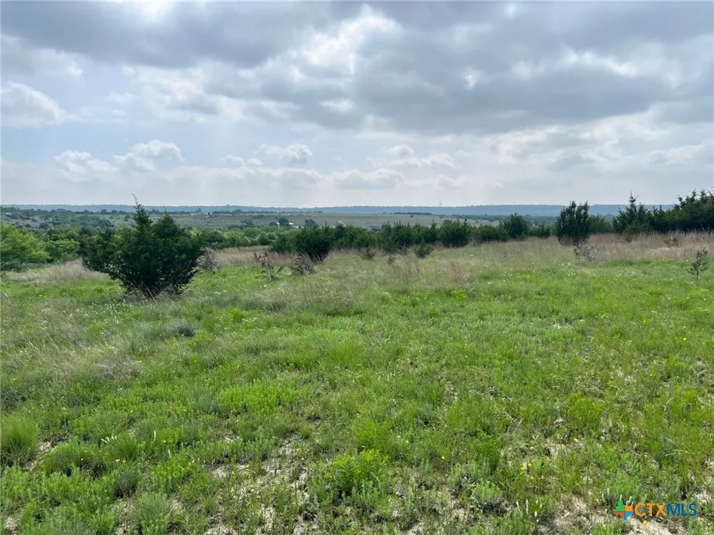 4748 CR 3300 Kempner, TX 76539