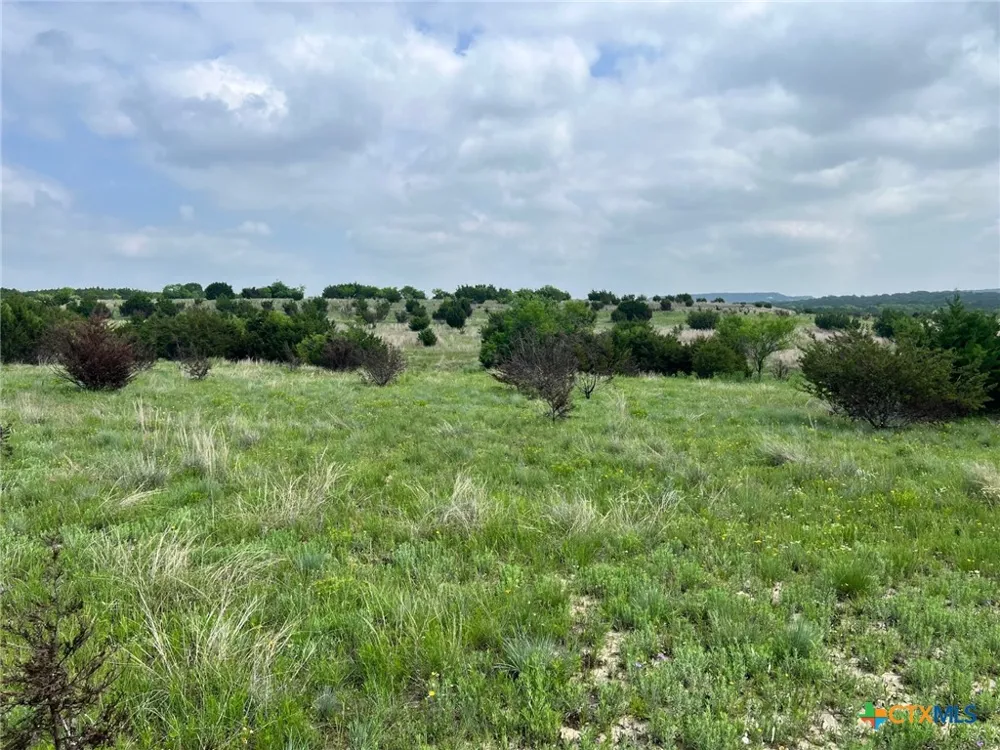 4748 CR 3300 Kempner, TX 76539