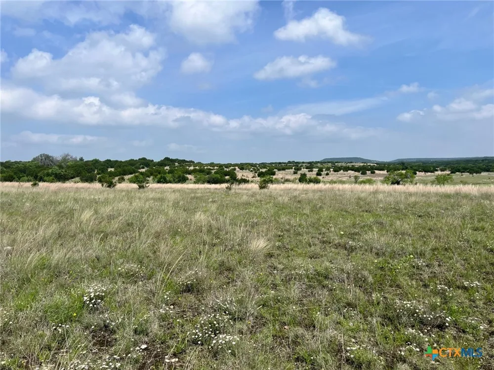 4748 CR 3300 Kempner, TX 76539