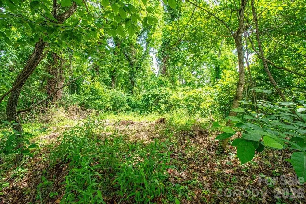 9999 Sandy Mush Creek Road Leicester, NC 28748