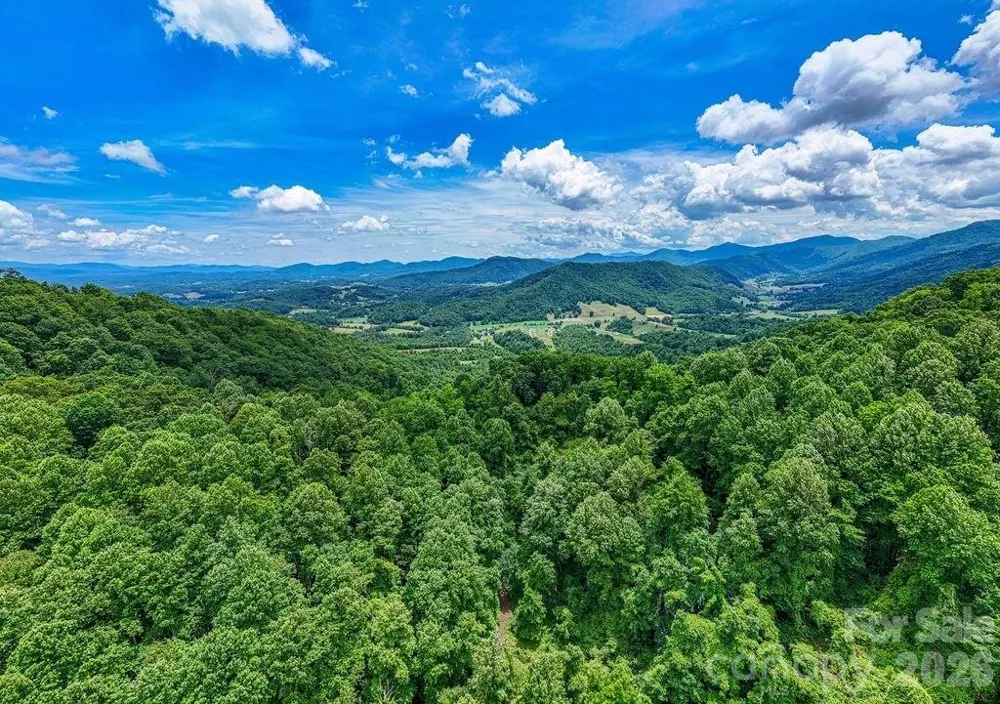 9999 Sandy Mush Creek Road Leicester, NC 28748