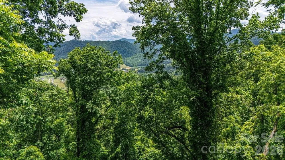 9999 Sandy Mush Creek Road Leicester, NC 28748