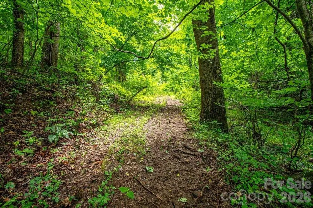 9999 Sandy Mush Creek Road Leicester, NC 28748