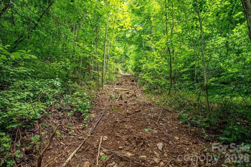 9999 Sandy Mush Creek Road Leicester, NC 28748