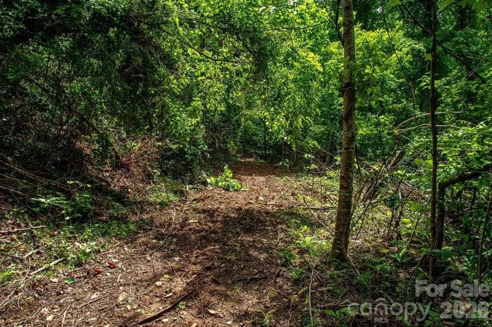 9999 Sandy Mush Creek Road Leicester, NC 28748