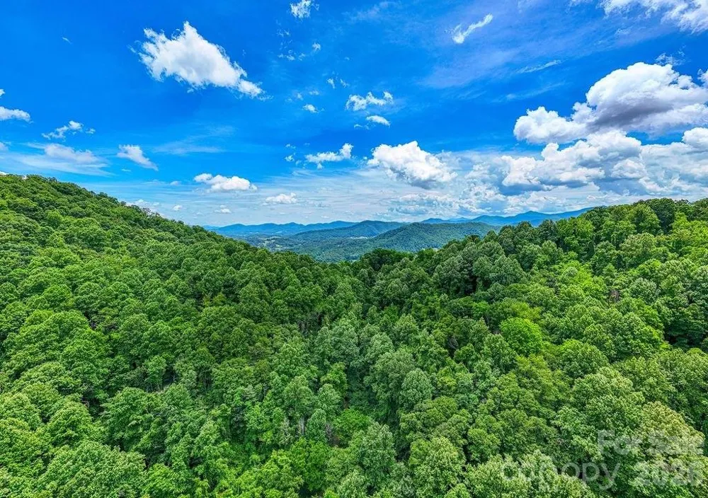 9999 Sandy Mush Creek Road Leicester, NC 28748