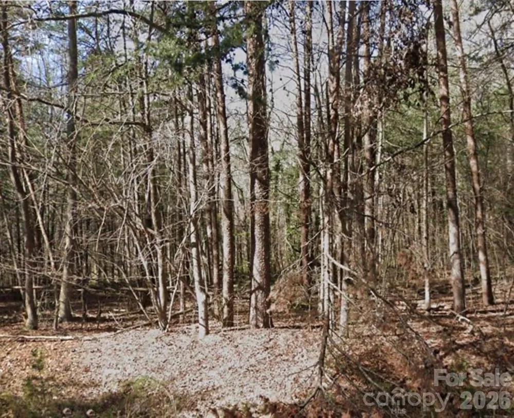 4932 Sierra Drive #18A Maiden, NC 28650