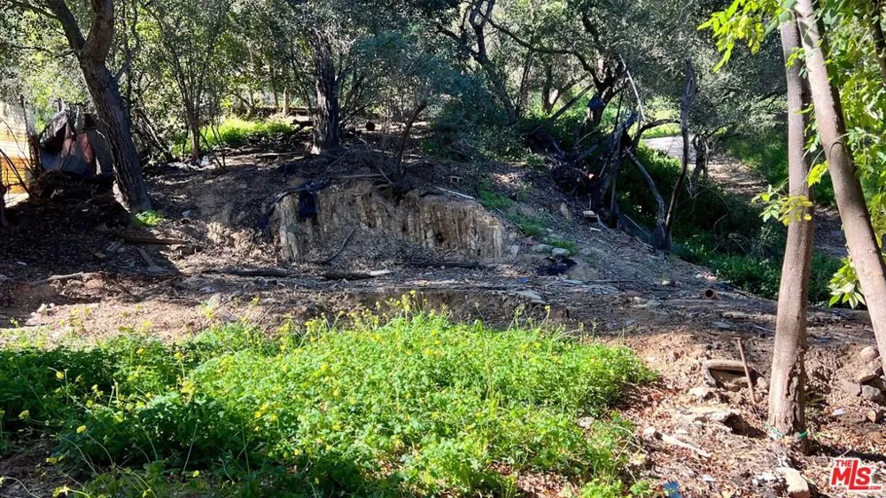 3485 Old Topanga Canyon Road Topanga, CA 90290