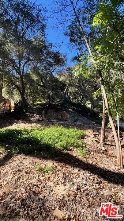 3485 Old Topanga Canyon Road Topanga, CA 90290
