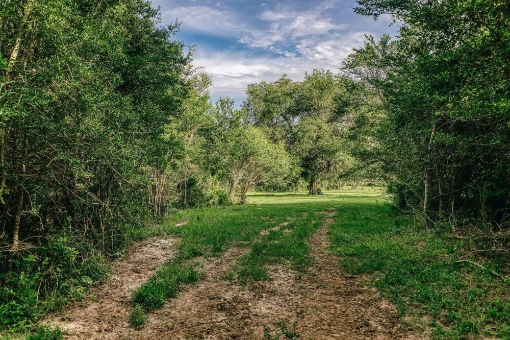 19576 Pickens Road Washington, TX 77880