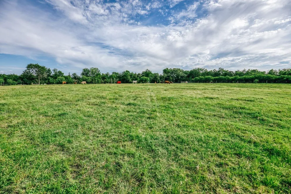 19576 Pickens Road Washington, TX 77880
