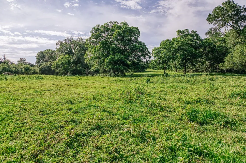 19576 Pickens Road Washington, TX 77880