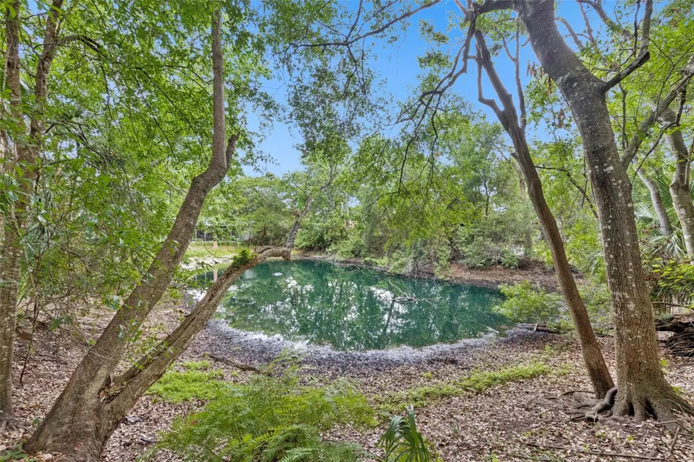 1318 COLETTA DRIVE Orlando, FL 32807