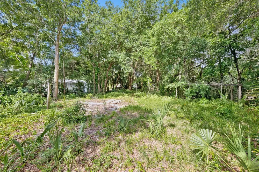 1318 COLETTA DRIVE Orlando, FL 32807