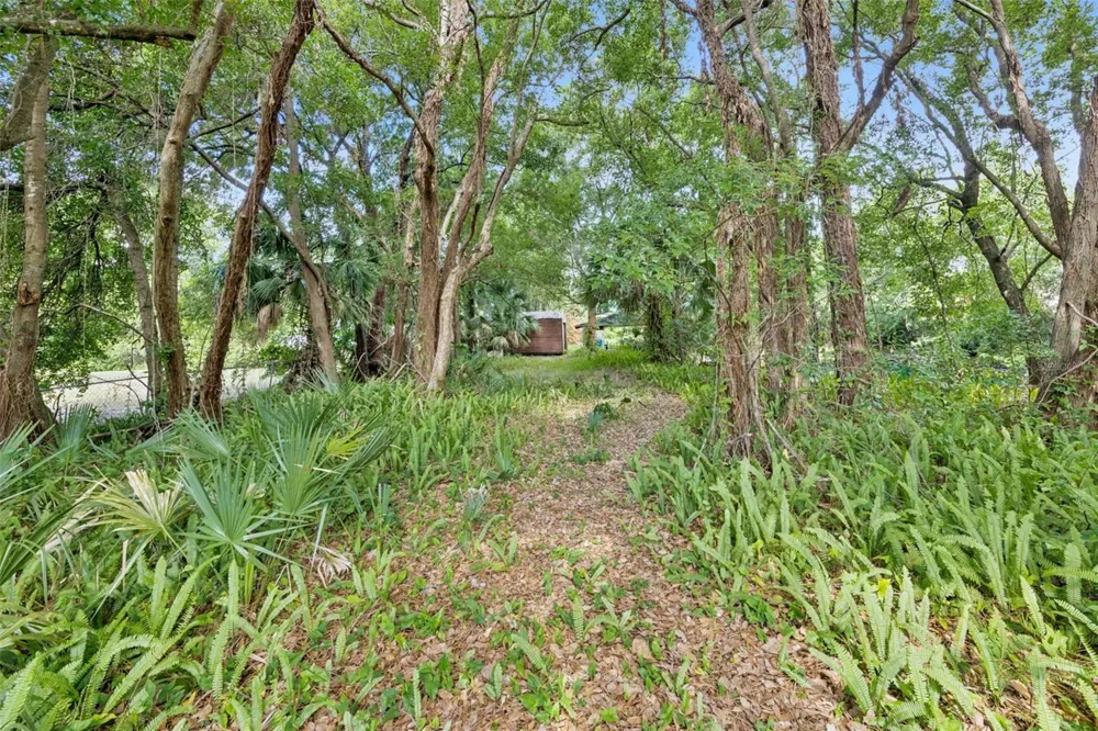 1318 COLETTA DRIVE Orlando, FL 32807
