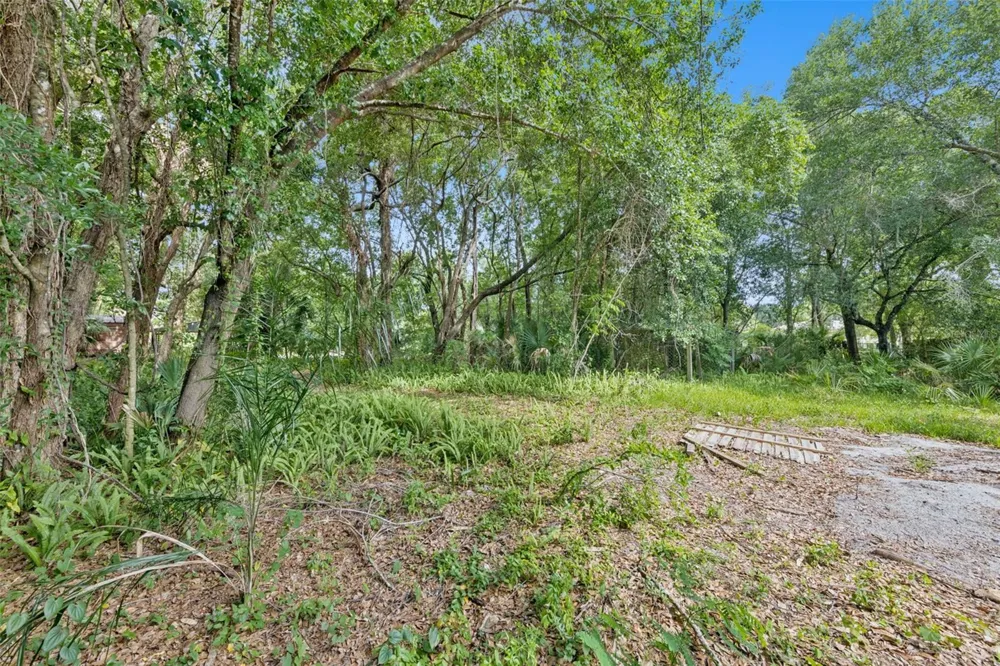 1318 COLETTA DRIVE Orlando, FL 32807