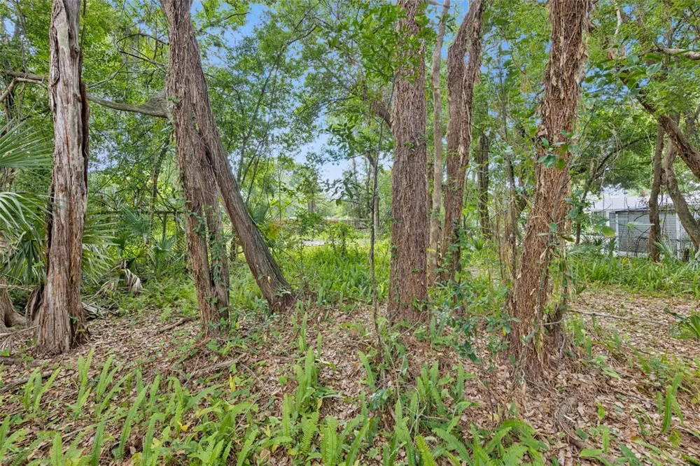 1318 COLETTA DRIVE Orlando, FL 32807
