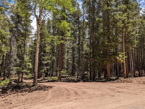 2905 Forbes Park Loop
