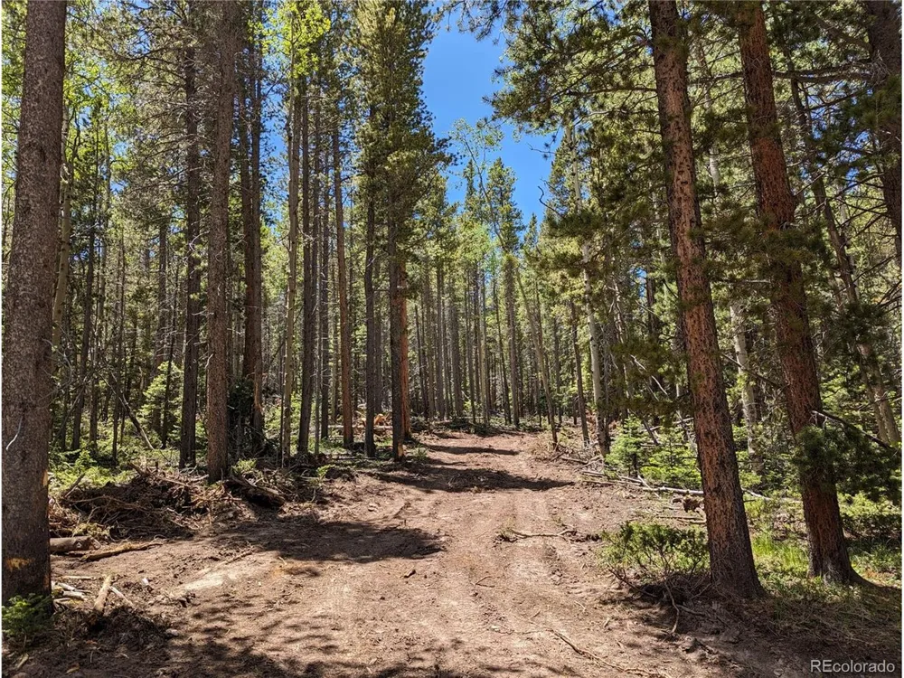 2905 Forbes Park Loop Fort Garland, CO 81133