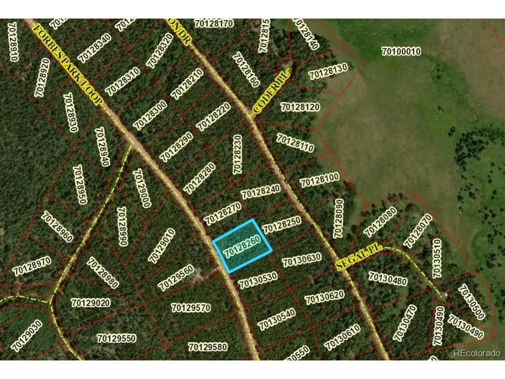 2905 Forbes Park Loop Fort Garland, CO 81133