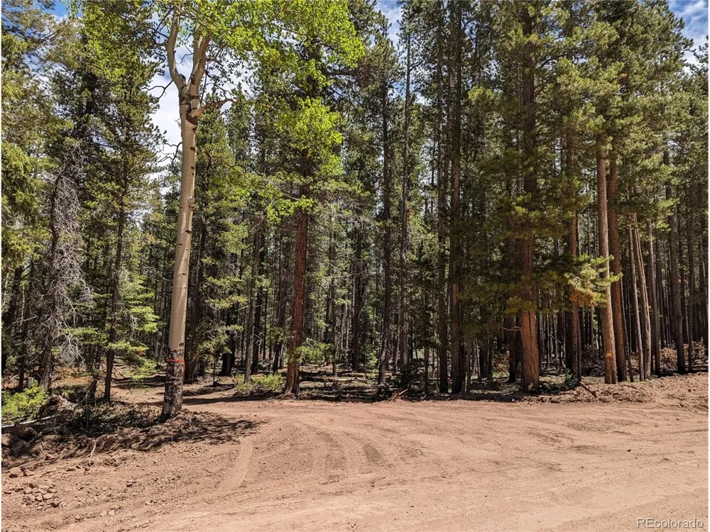 2905 Forbes Park Loop Fort Garland, CO 81133