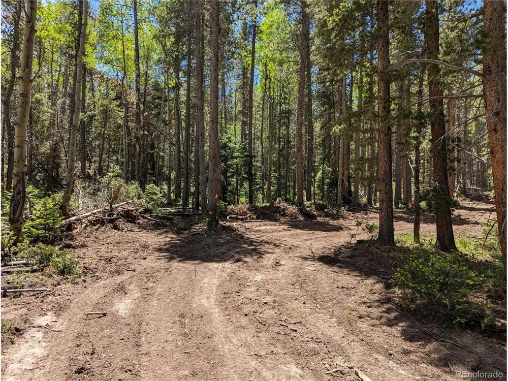 2905 Forbes Park Loop Fort Garland, CO 81133