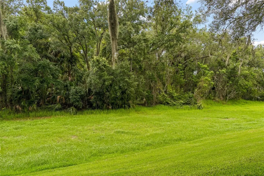 9311 HAAS DRIVE Hudson, FL 34669
