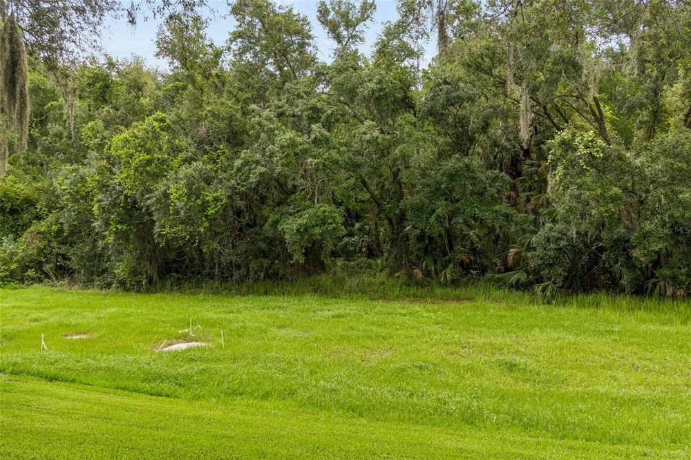 9311 HAAS DRIVE Hudson, FL 34669