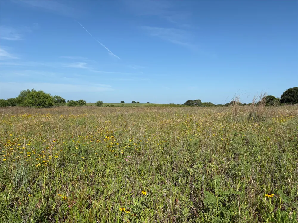 16 FM 571 Gorman, TX 76454