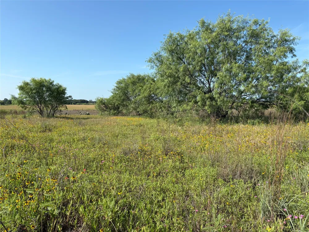 16 FM 571 Gorman, TX 76454