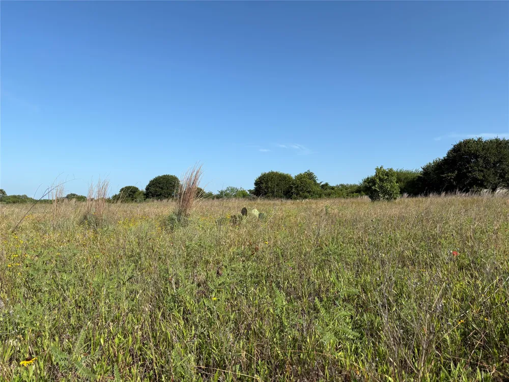 16 FM 571 Gorman, TX 76454