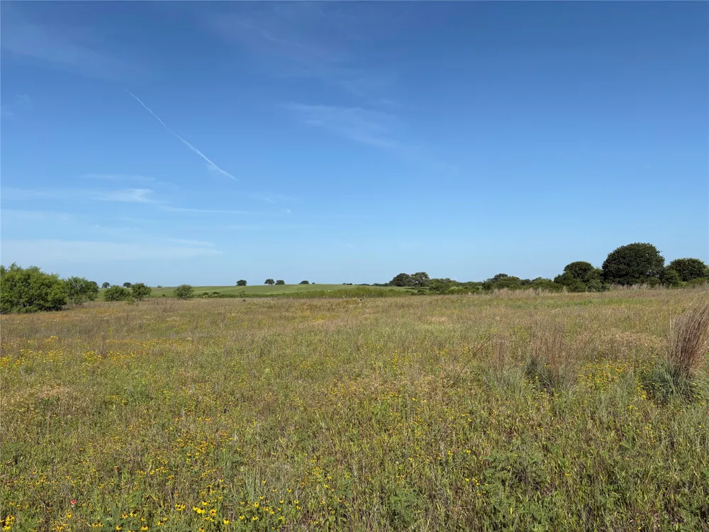 16 FM 571 Gorman, TX 76454