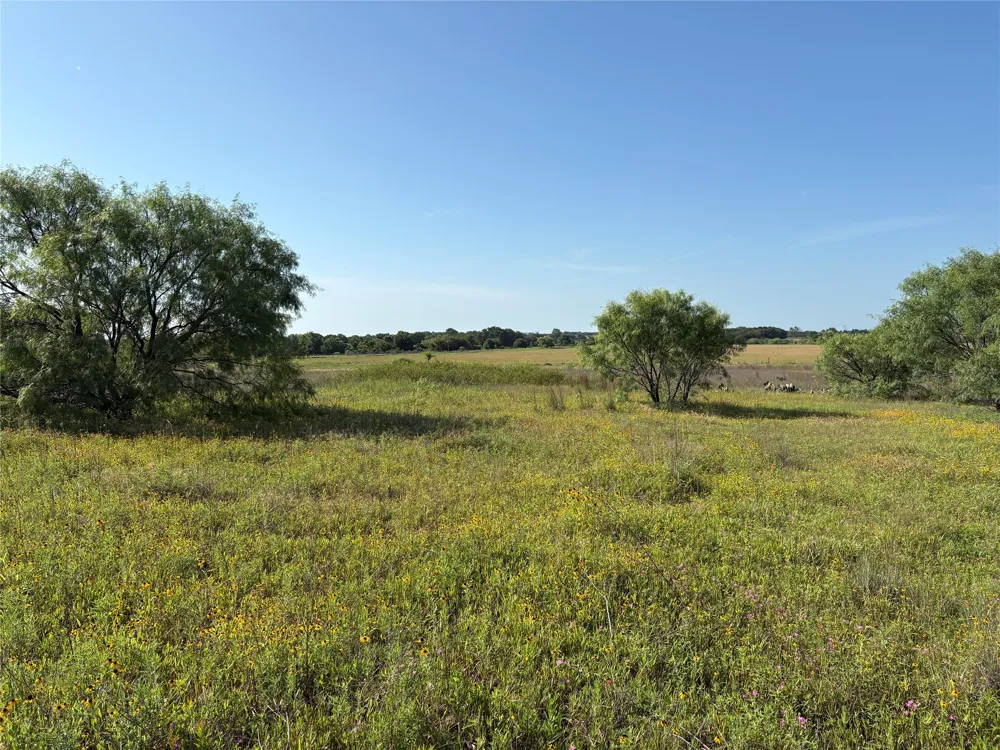 16 FM 571 Gorman, TX 76454
