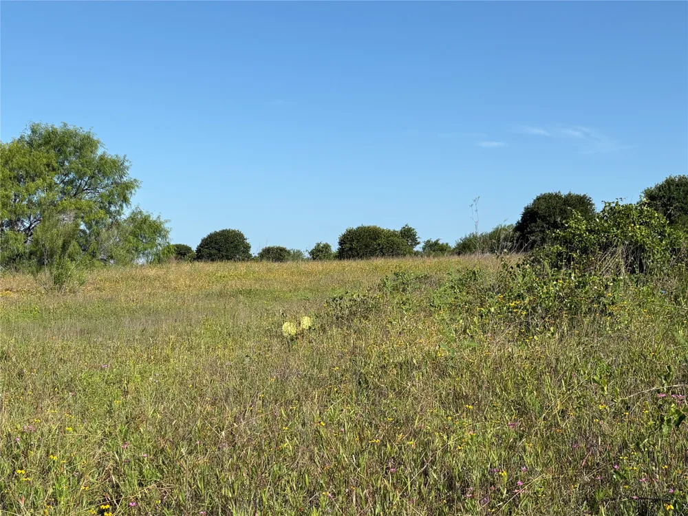 16 FM 571 Gorman, TX 76454