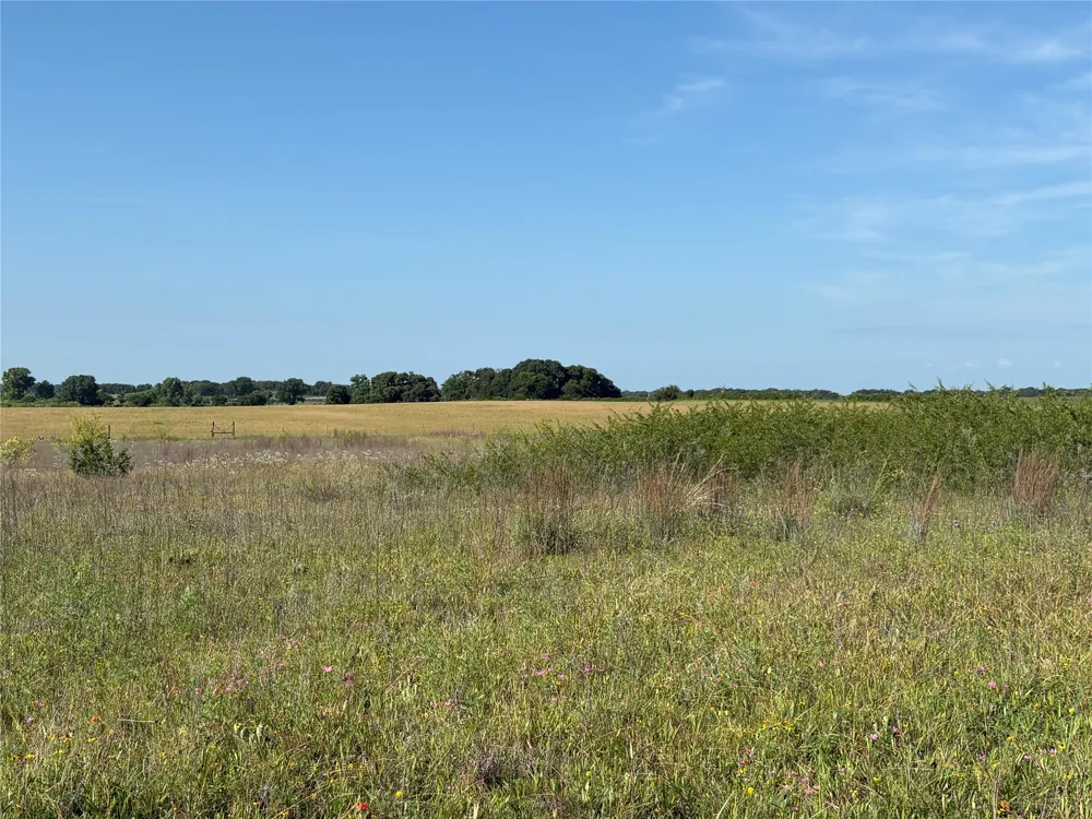 16 FM 571 Gorman, TX 76454