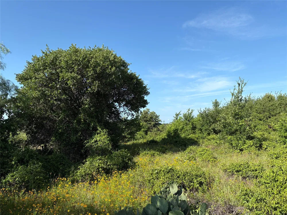 16 FM 571 Gorman, TX 76454