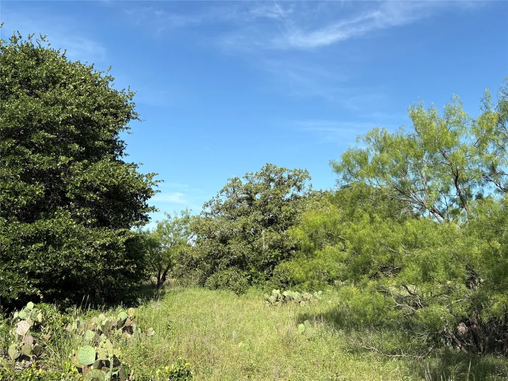16 FM 571 Gorman, TX 76454