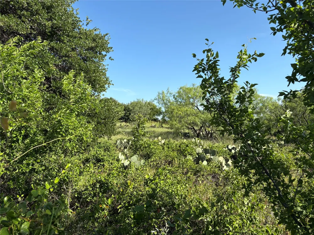16 FM 571 Gorman, TX 76454